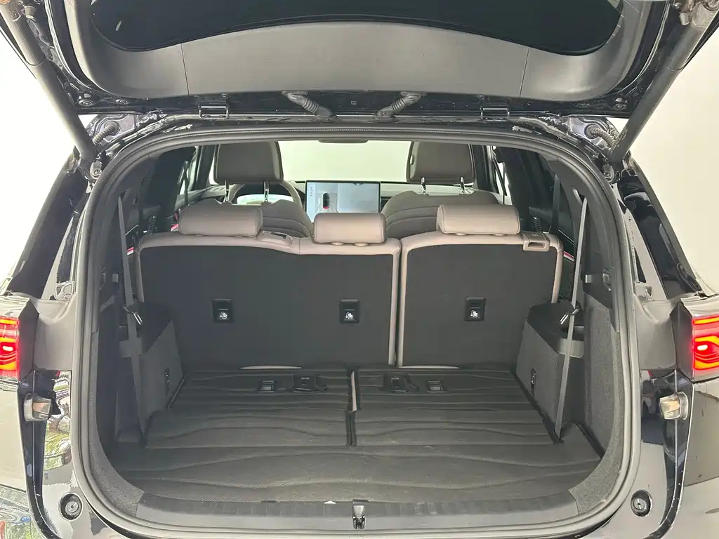 BYD TANG NEW ENERGY 2024