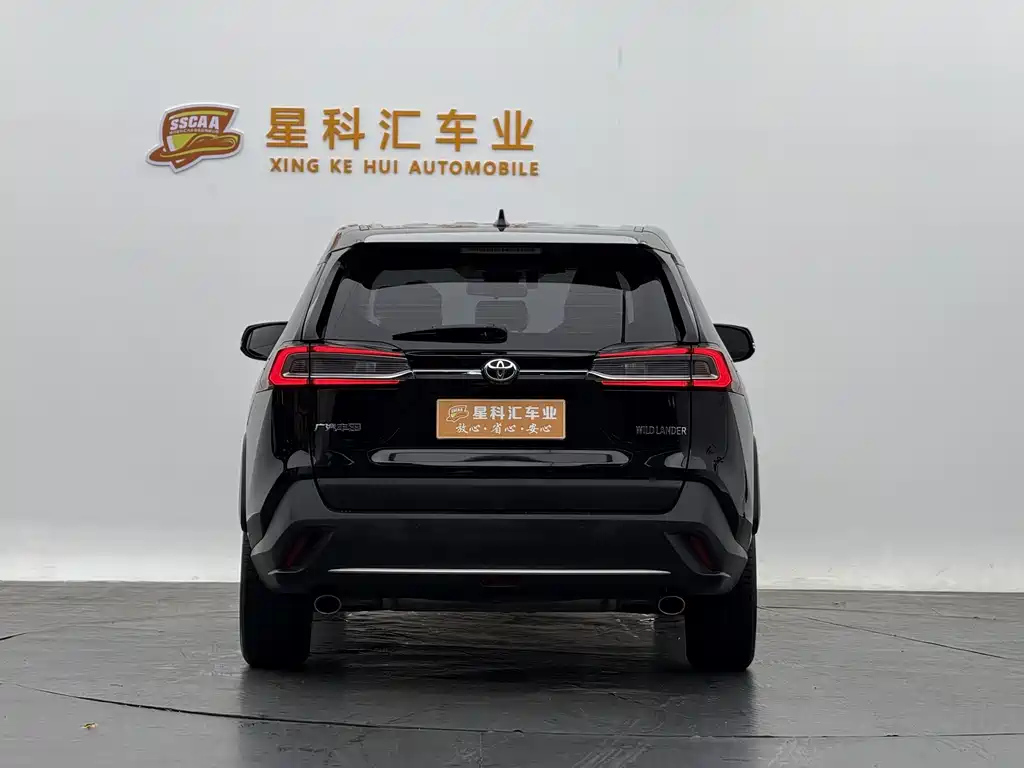 TOYOTA WILDLANDER 2022