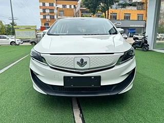 Заказать LIVAN 枫叶80V