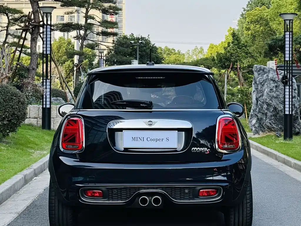 MINI OTHER 2020