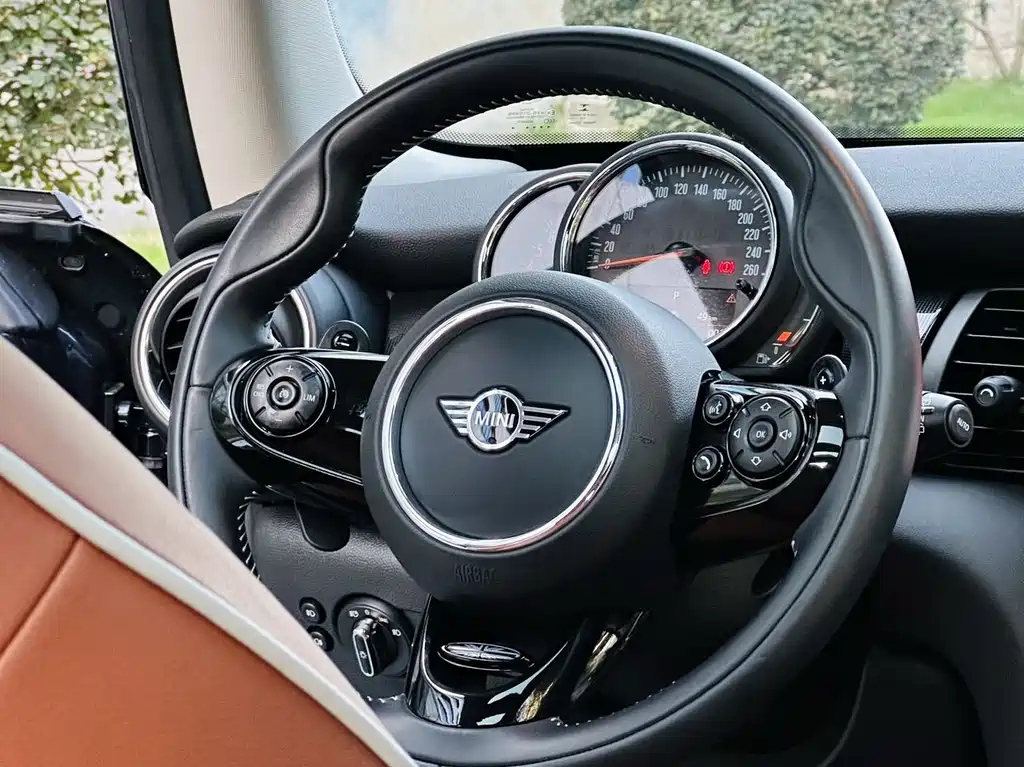 MINI OTHER 2020