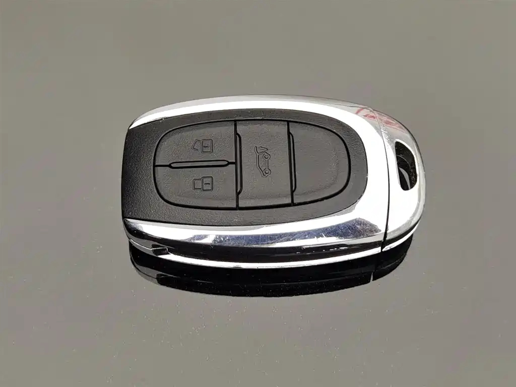 MAXUS OTHER 2020