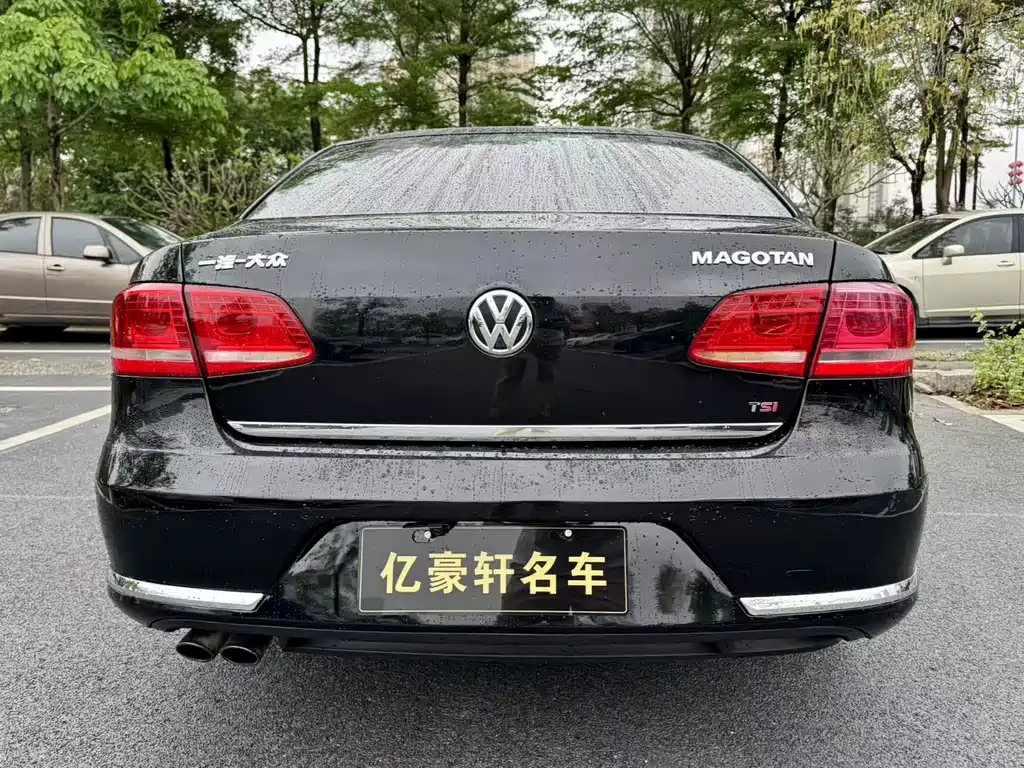 VOLKSWAGEN MAGOTAN 2014