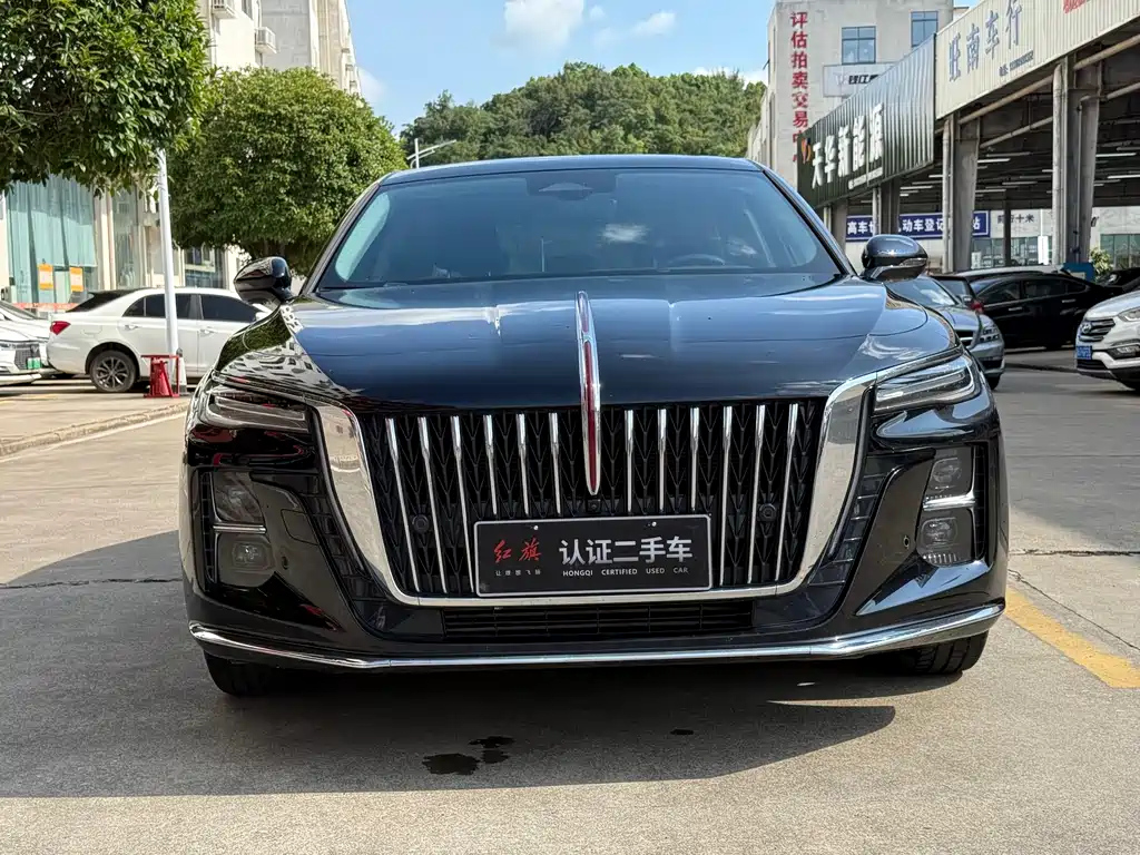 HONGQI H5 2024