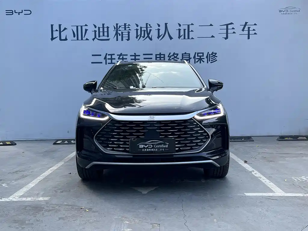 BYD TANG NEW ENERGY 2024