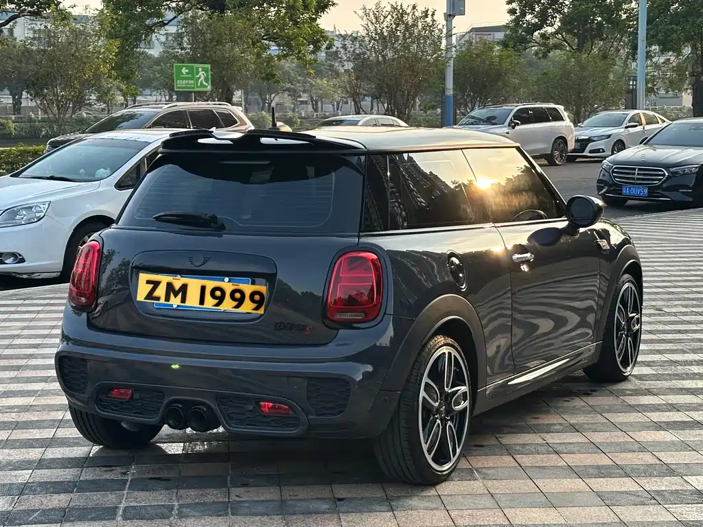 MINI OTHER 2021