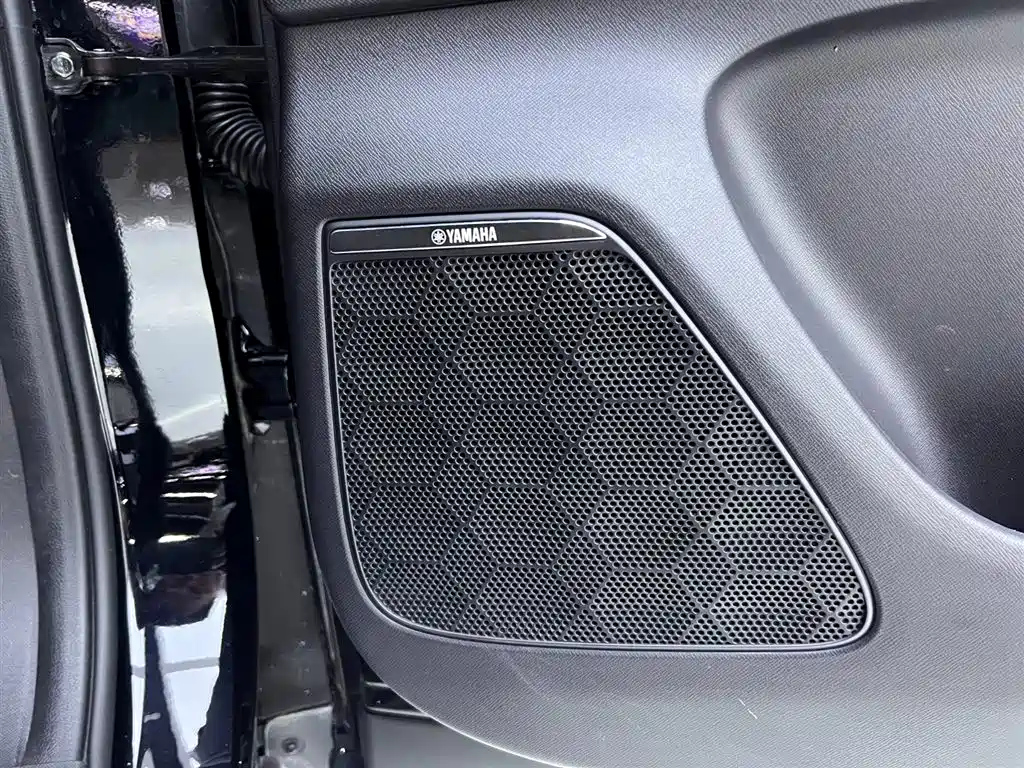 TRUMPCHI E9 2024