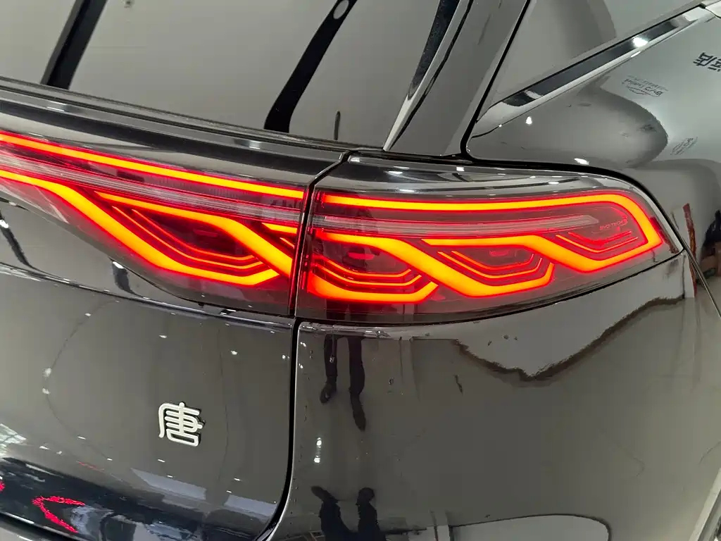 BYD TANG NEW ENERGY 2024