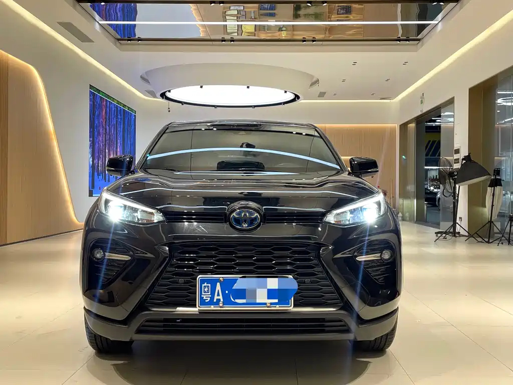 TOYOTA WILDLANDER 2020