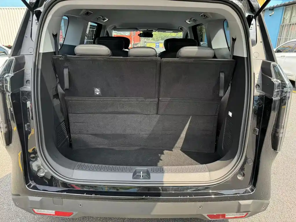 MAXUS OTHER 2024