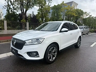 Заказать BORGWARD BX7