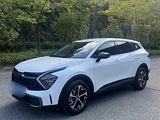 KIA LION PLATINUM &#25299;&#30028  2023