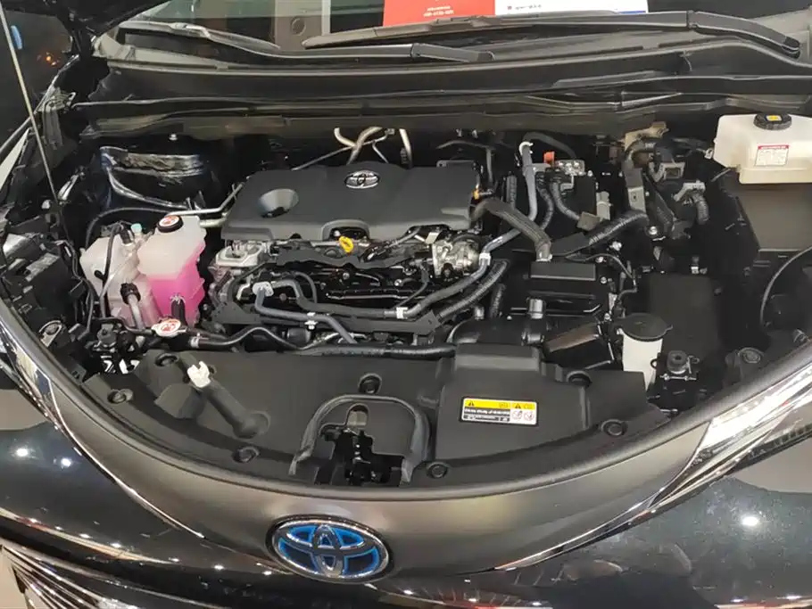 TOYOTA SIENNA SIENNA 2021