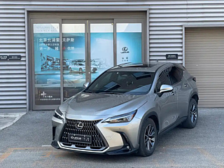 LEXUS NX NEW ENERGY