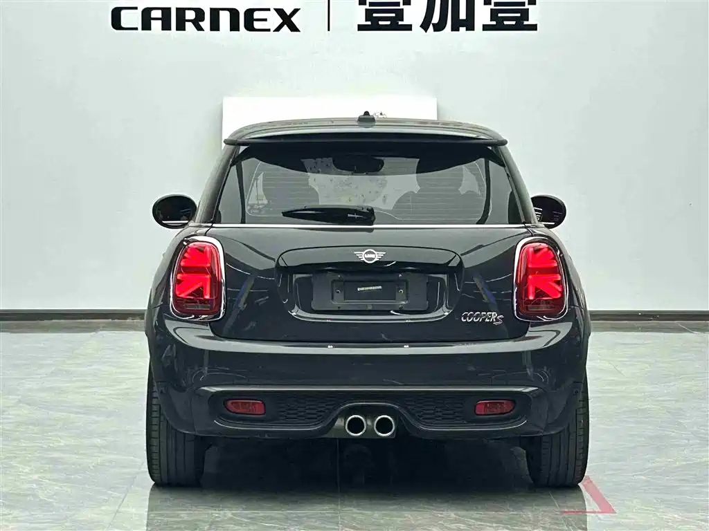 MINI OTHER 2021