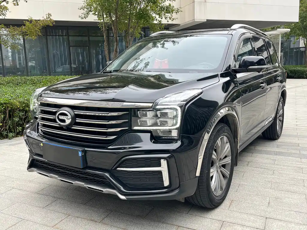 Аукционный лист TRUMPCHI GS8 2020