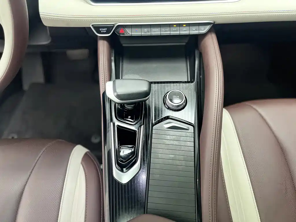 GEELY AUTO MONJARO 2021