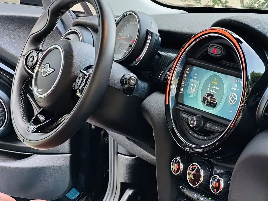 MINI OTHER 2020