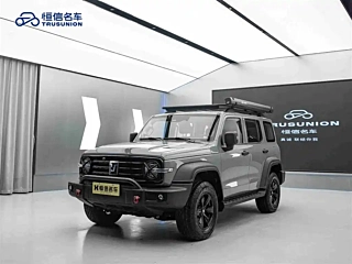 TANK 300 2021 YEAR EDITION 2.0T 2021