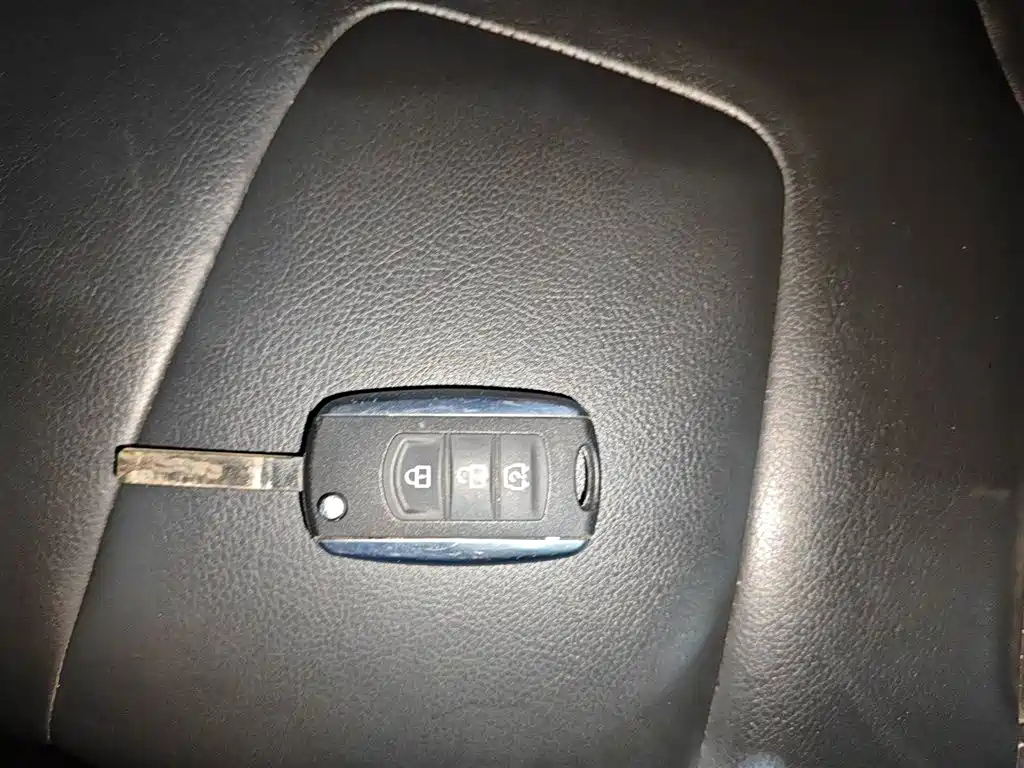 DONGFENG SCENERY 580 2018