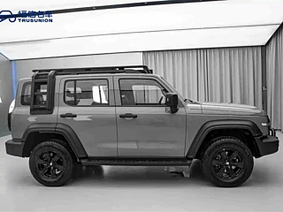 TANK 300 2021 YEAR EDITION 2.0T 2021