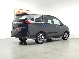 MAXUS OTHER 2020