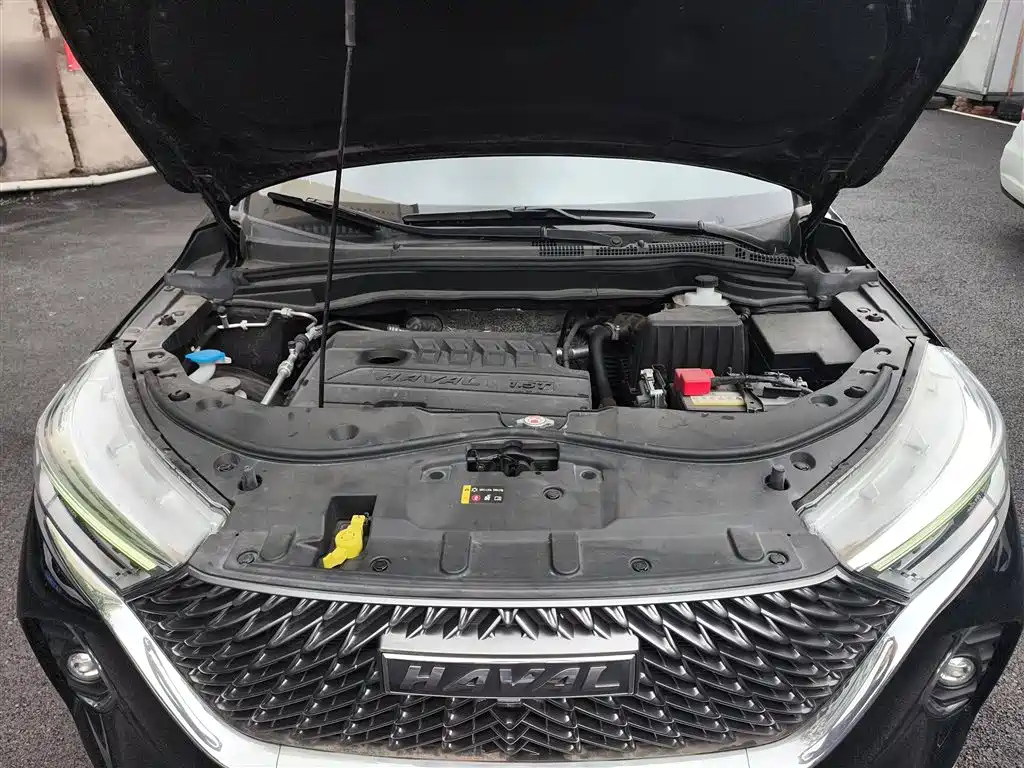 HAVAL M6 2021