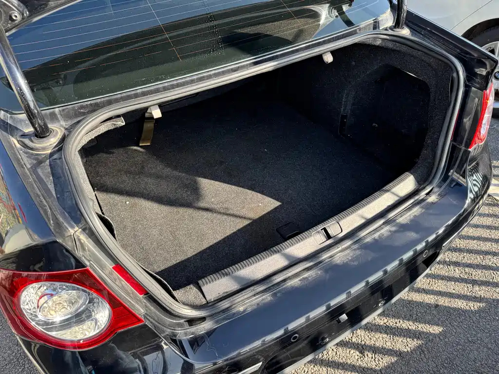 VOLKSWAGEN MAGOTAN 2010