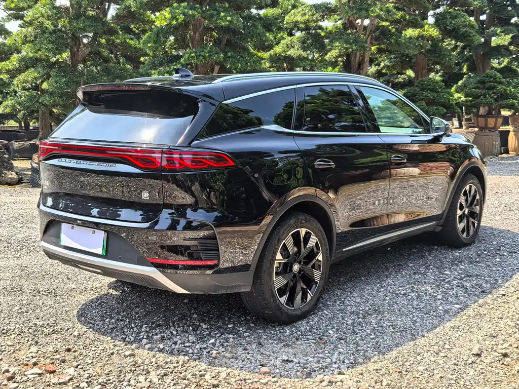 BYD TANG NEW ENERGY 2024
