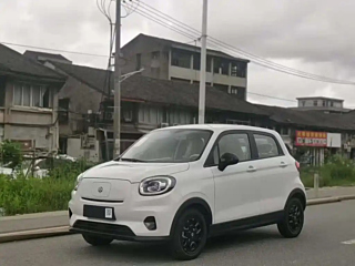 LEAPMOTOR T03 2025 YEAR 310 EDITION 2025