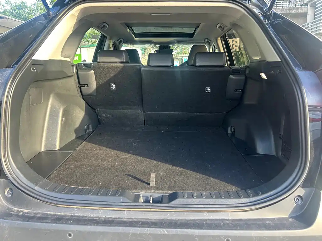 TOYOTA WILDLANDER 2024