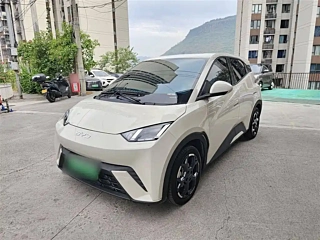 BYD SEAGULL  2025 YEAR 305KM FREEDOM EDITION 2025