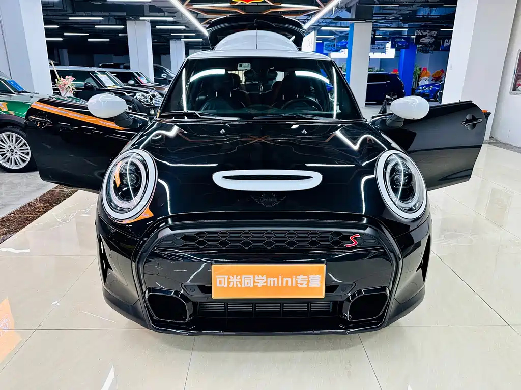 MINI OTHER 2023