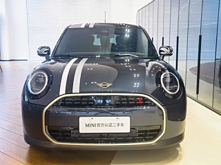 MINI OTHER 2025