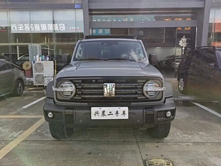 TANK 300  2021