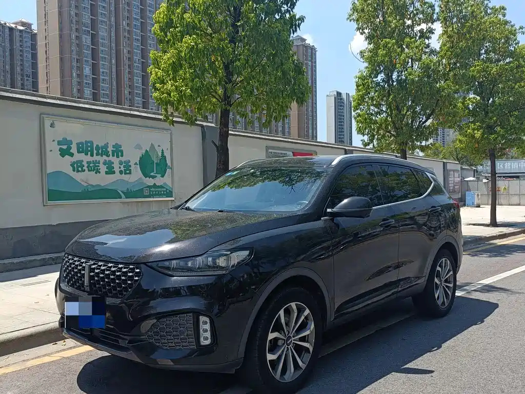 Аукционный лист WEY VV6 2019