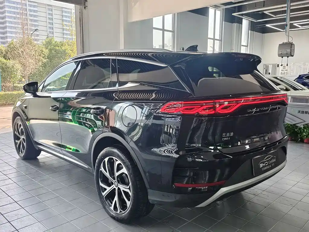 BYD TANG NEW ENERGY 2025