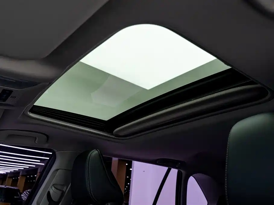 TOYOTA WILDLANDER 2021