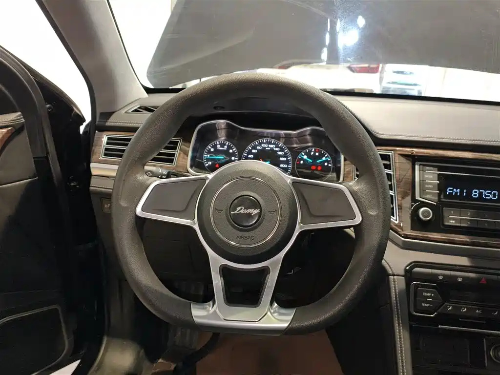 ZOTYE BIG 迈X7 2019
