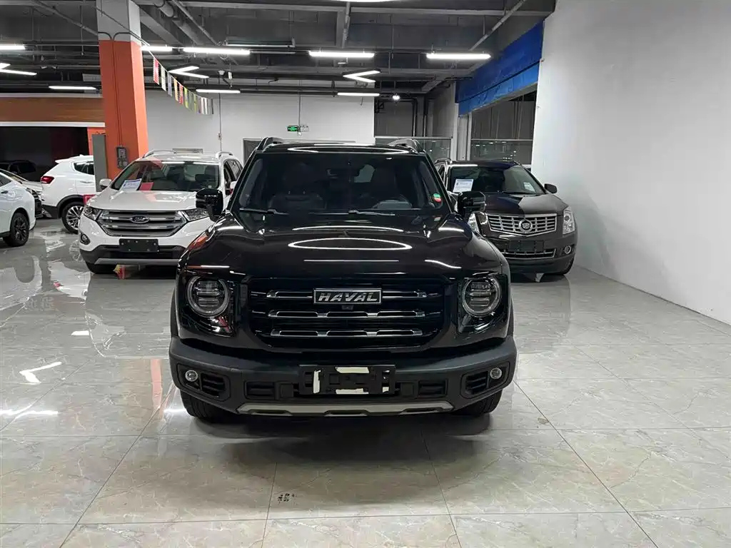 HAVAL BIG DOG 2020