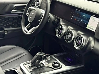 TANK 300 2021 YEAR EDITION 2.0T 2021