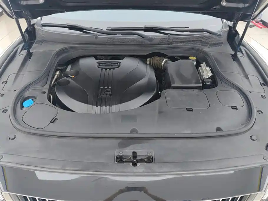GEELY AUTO BORUI 2020