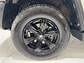 TANK 300 2021 YEAR EDITION 2.0T 2021