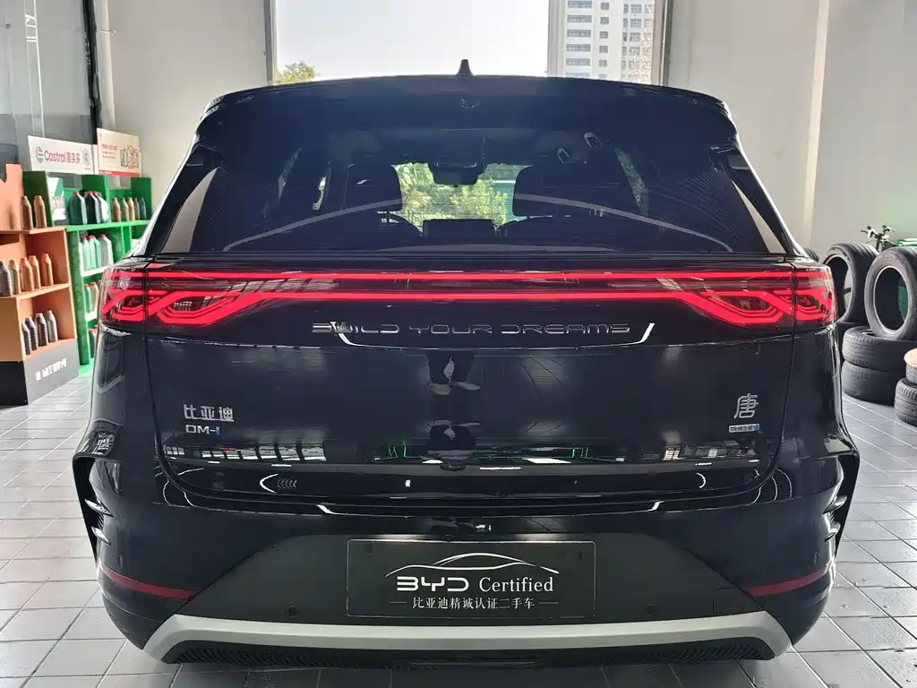 BYD TANG NEW ENERGY 2025