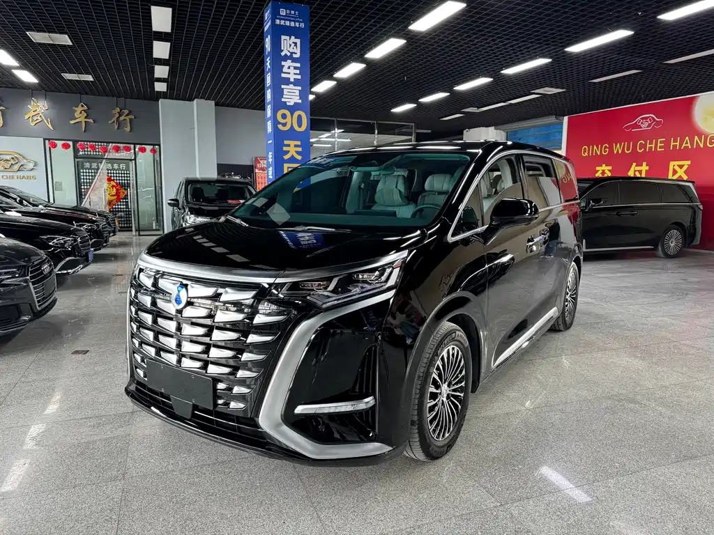 Аукционный лист DENZA D9 2024