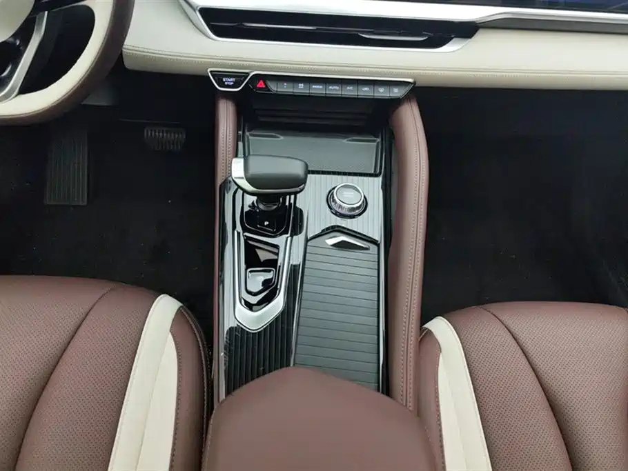GEELY AUTO MONJARO 2021