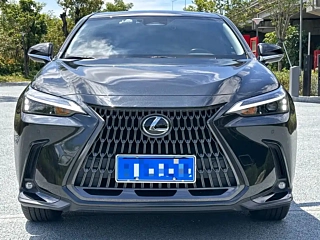LEXUS NX 2022