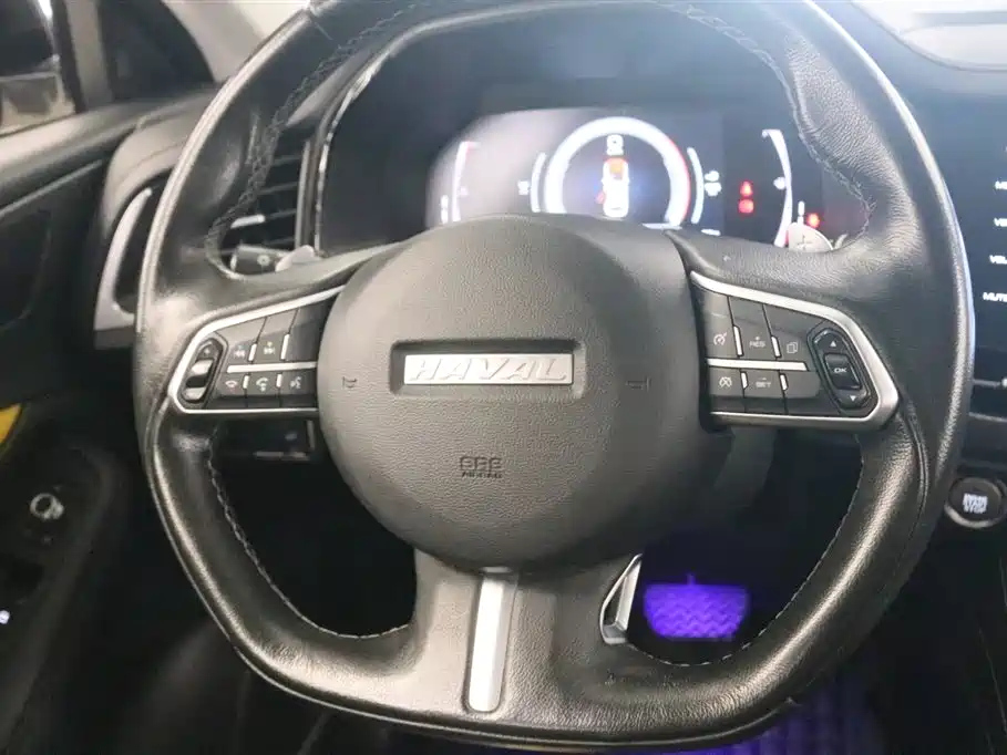 HAVAL F7X 2019