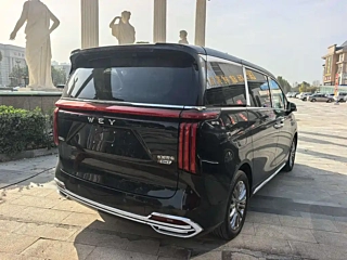 Заказать WEY GAOSHAN