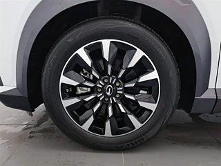 TRUMPCHI COOL 2022 YEAR 1.5T PRO EDITION 2022